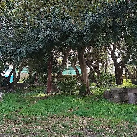 Franca Alghero